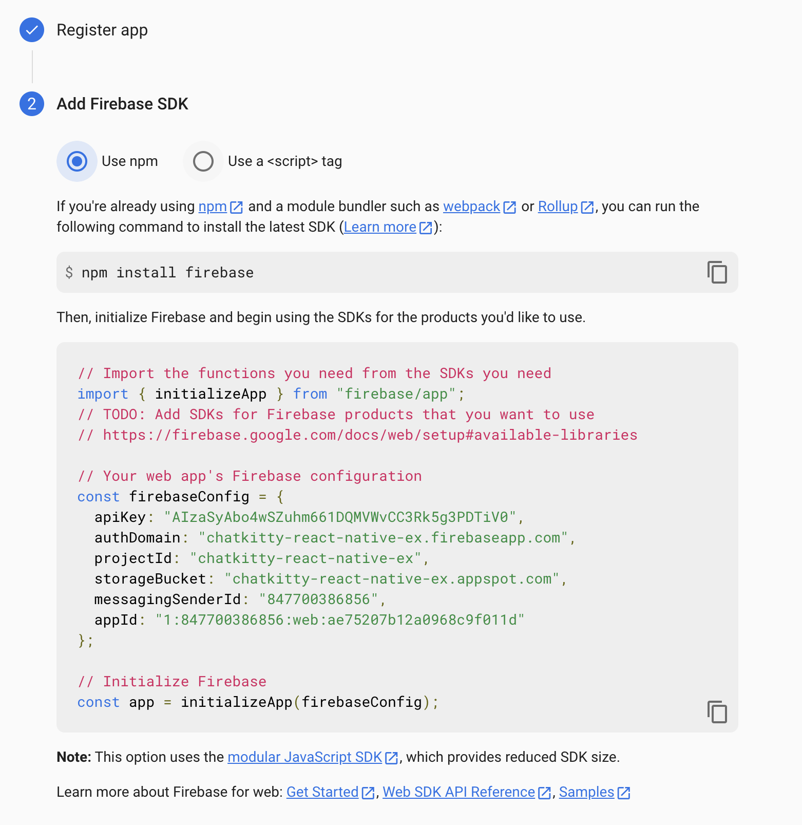 Screenshot: Firebase create web app complete